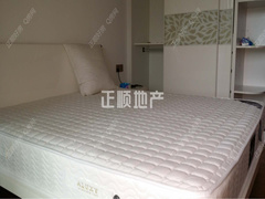 主卧1272976