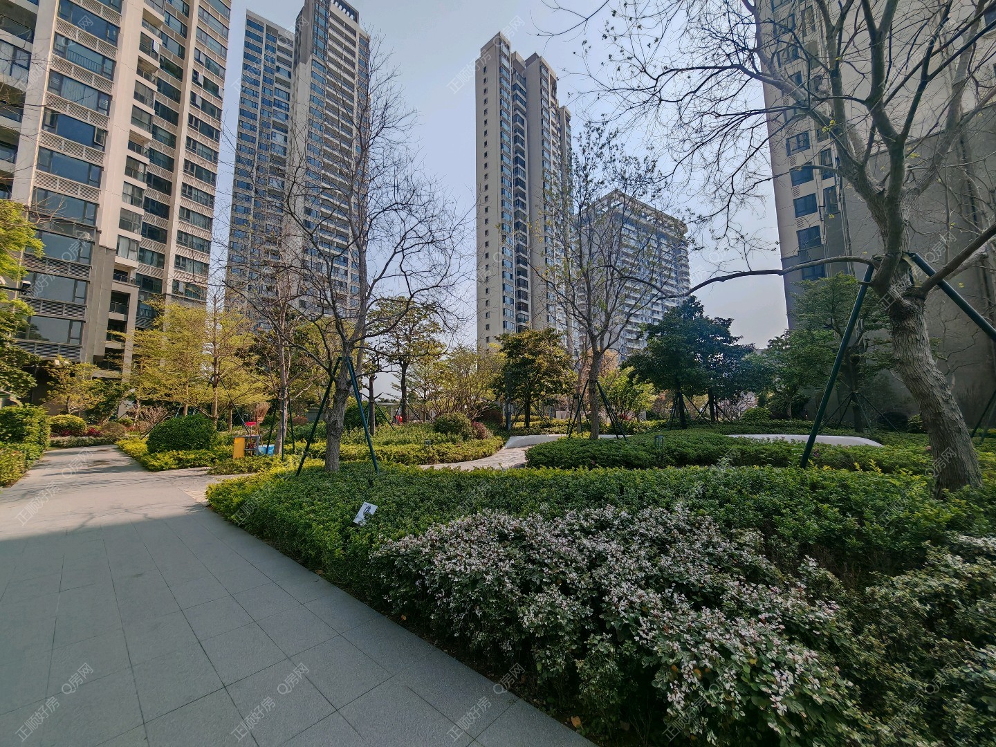 实景图