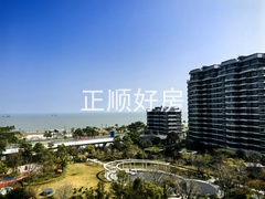 IMG_20250217_135859