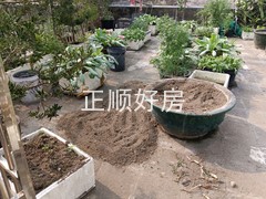 平台