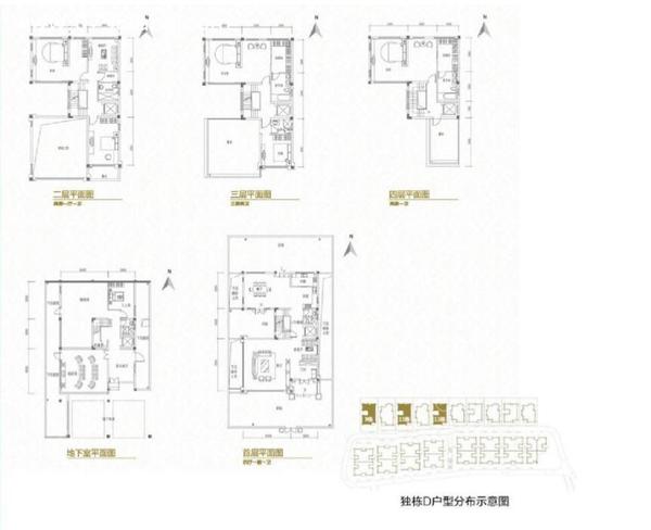 D型户型图