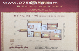 11栋01/04户型107平