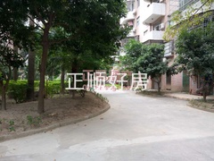 1908596664.jpg