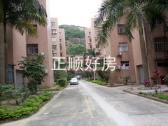 1225321101.jpg