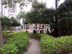 321914886.jpg