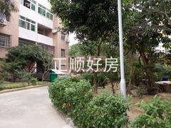 1224844531.jpg