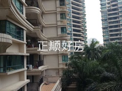 10406081.jpg