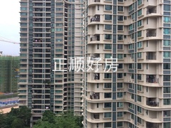 47019045487223550.jpg
