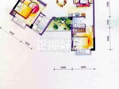 241998923.jpg