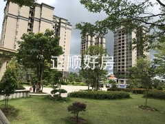 园林1.jpg