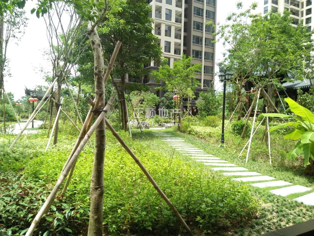 小区中央 园林绿化（小区专家680731）