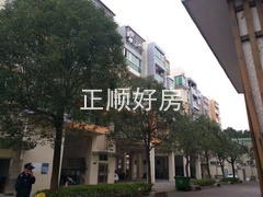 微信图片_201801261738053.jpg