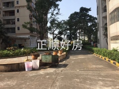 社区环境