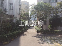 社区环境