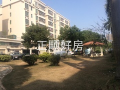 绿茵1.jpg