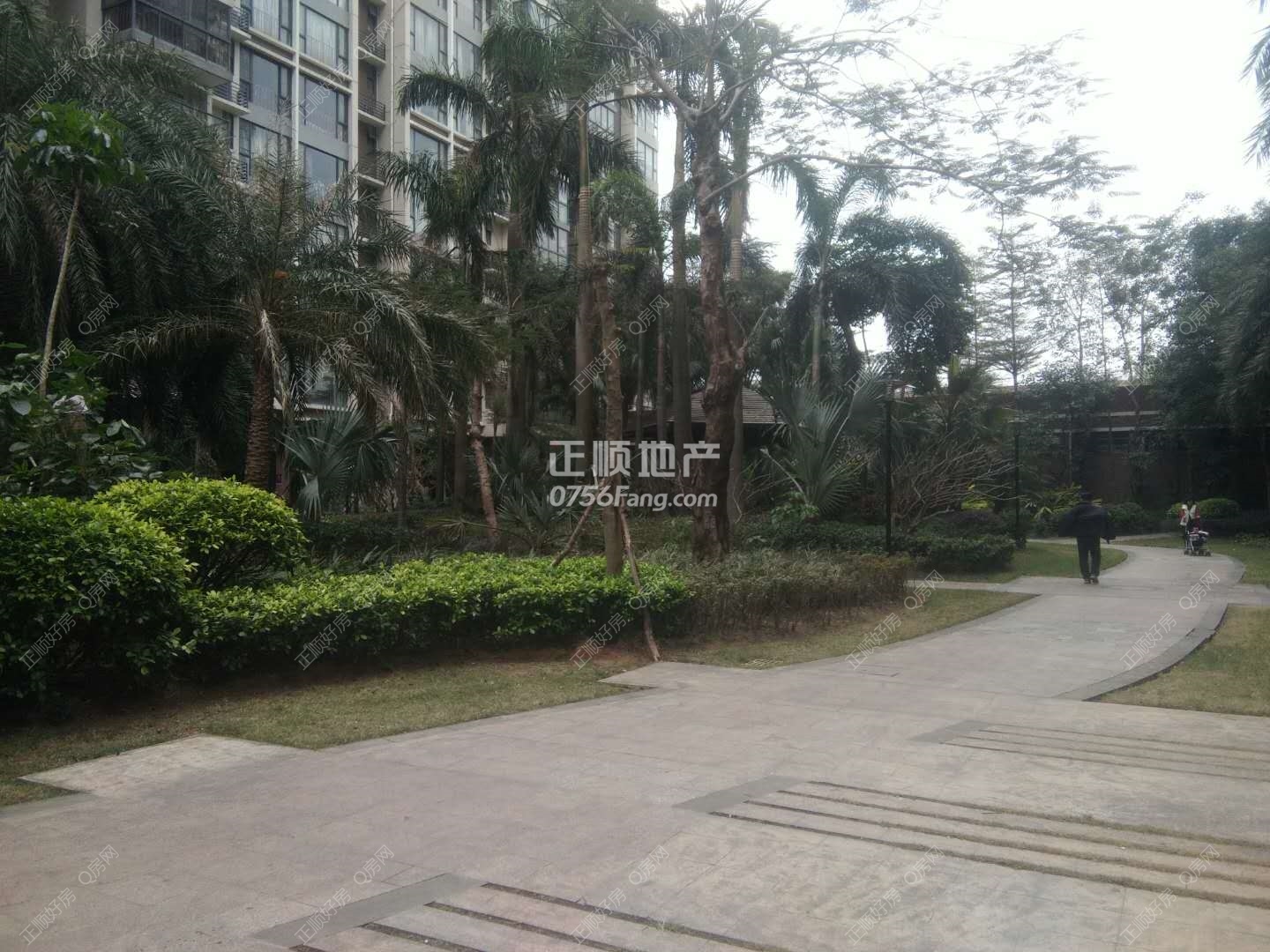 55.jpg