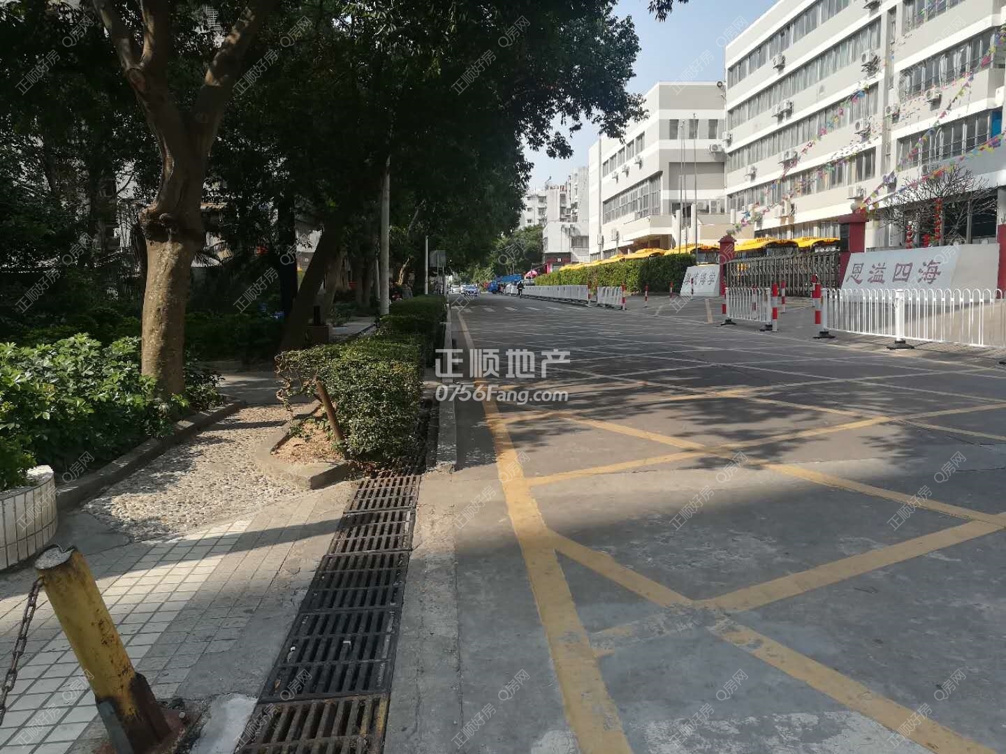 261219589070734162.jpg