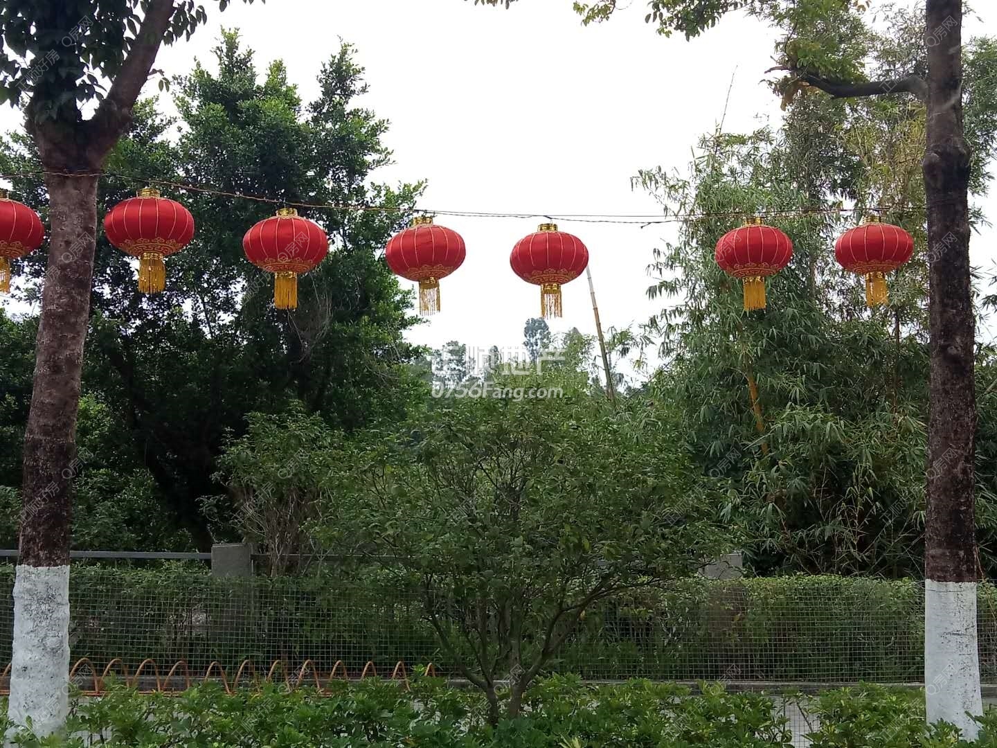 微信图片_2018020911131830.jpg