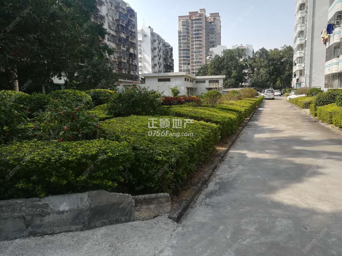 110742695645679347.jpg