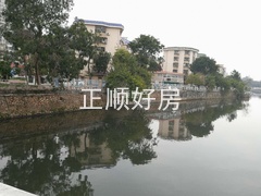 837643109.jpg