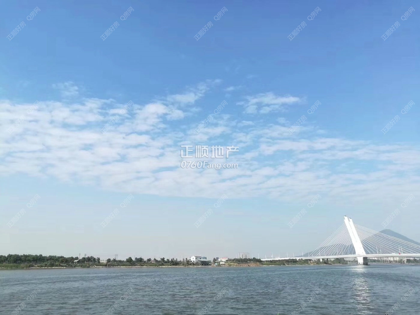 实景图
