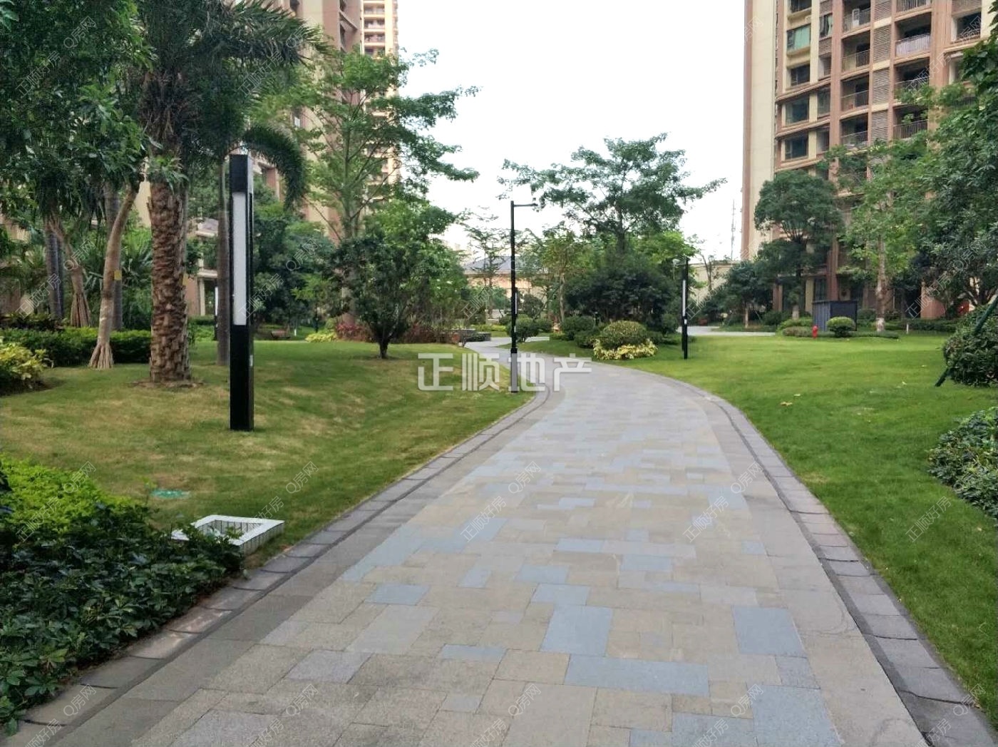 实景图