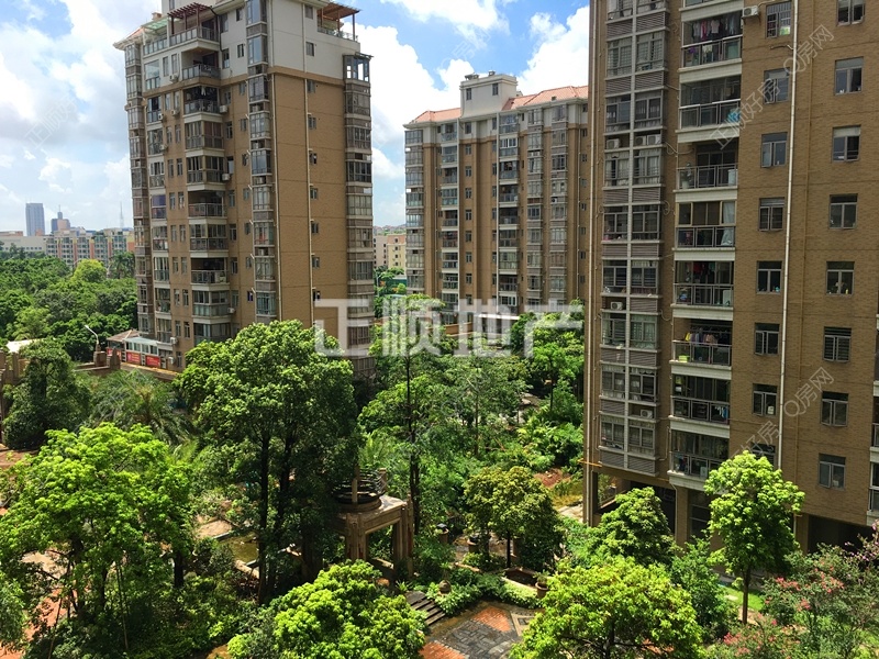 小区鸟瞰