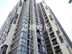 06.jpg