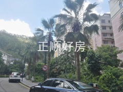 微信图片_201807311240424.jpg