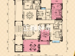 2栋1单元/2单元01/02户