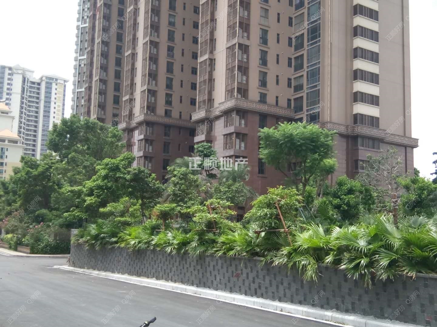 实景图