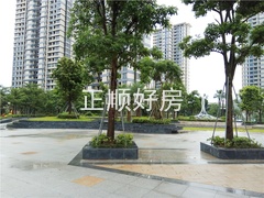 小区8.jpg