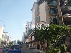 小区往河边的路