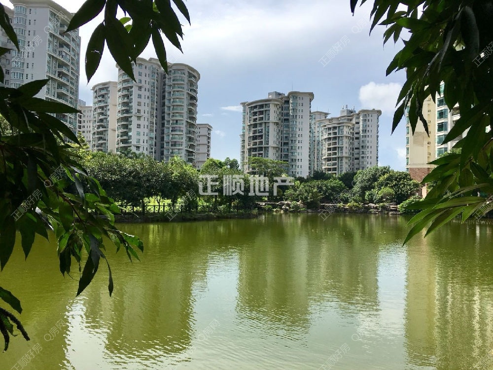 实景图