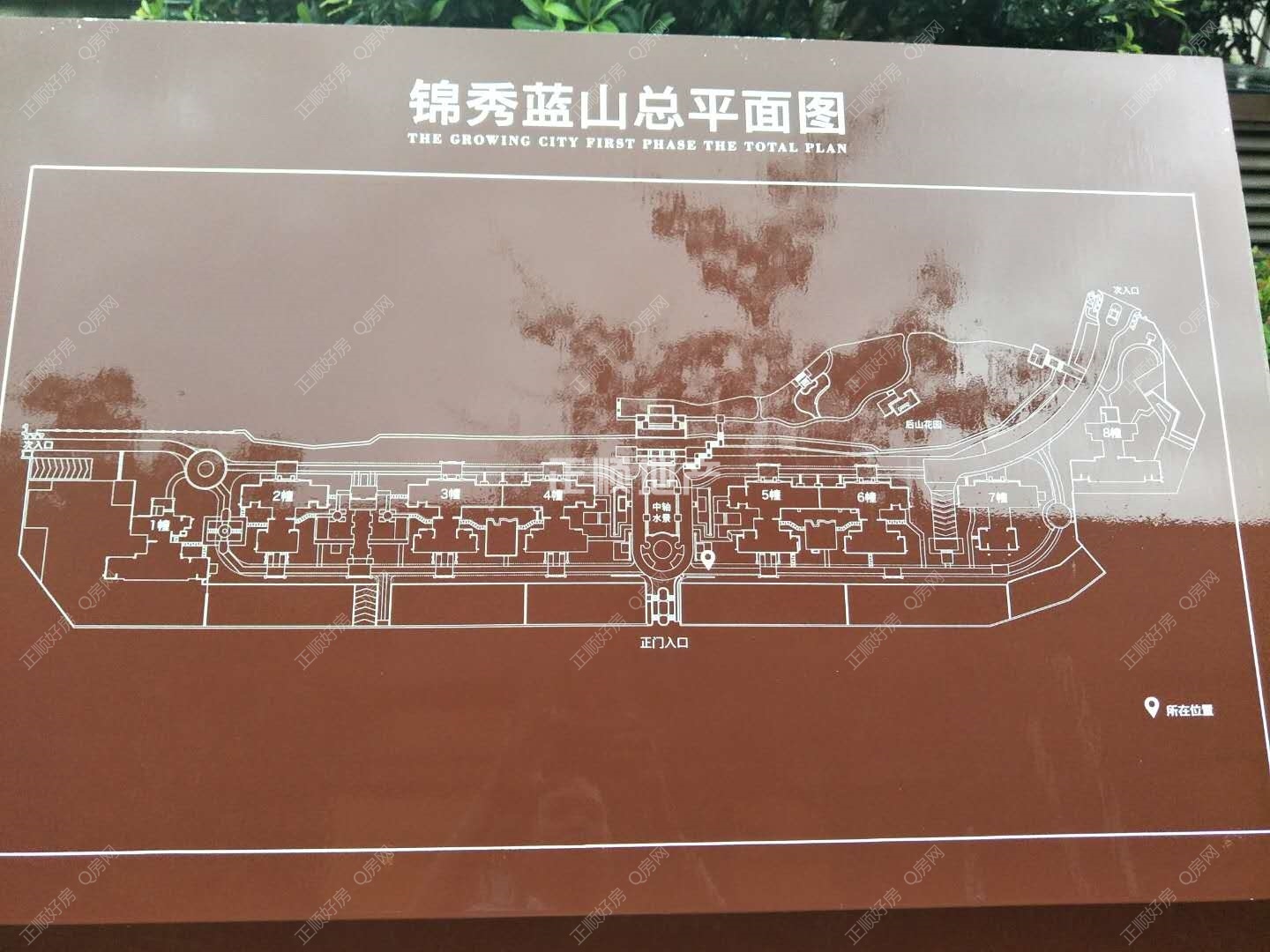 实景图