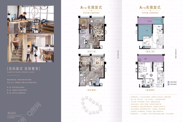 雅居乐国际花园 - 户型图
