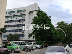 翠9.jpg