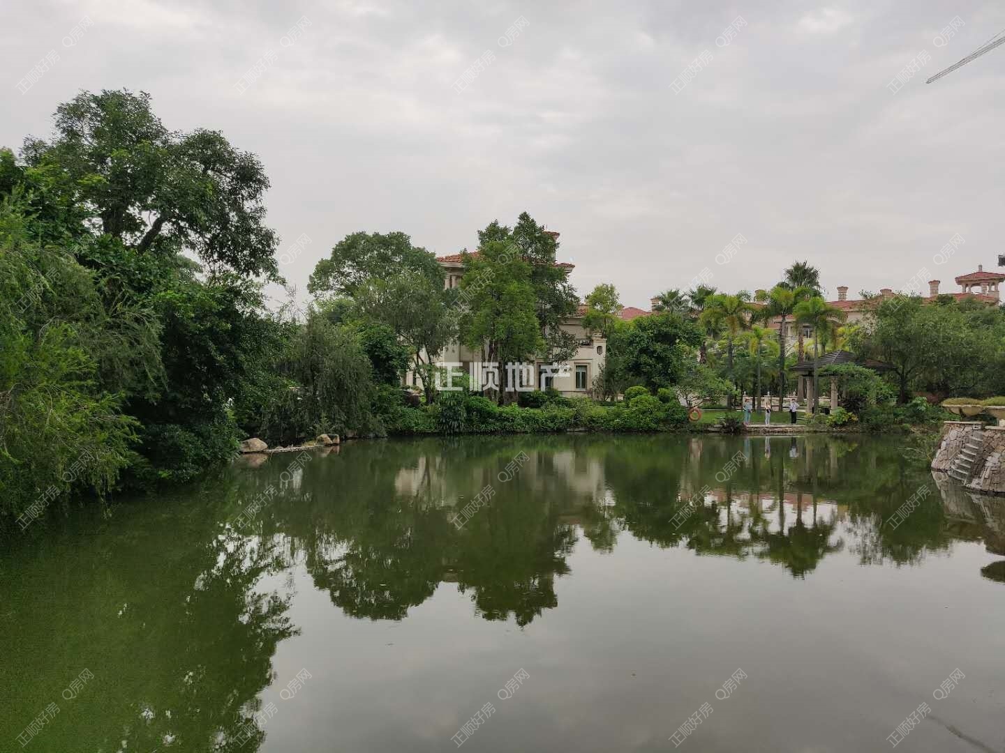实景图