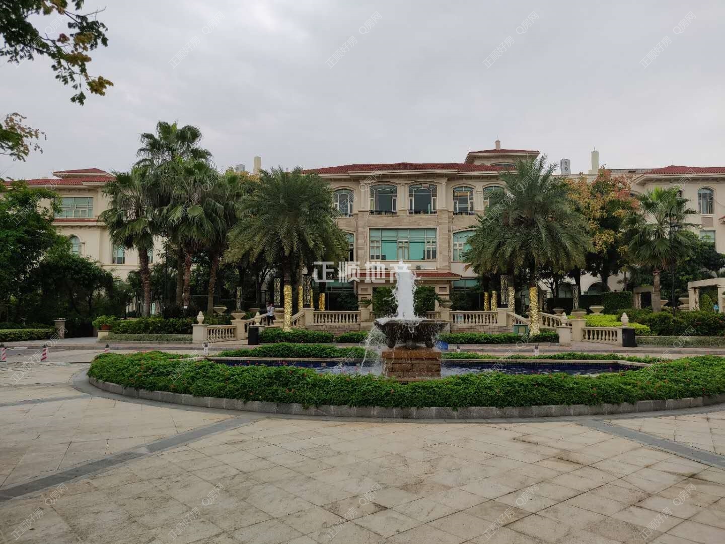 实景图