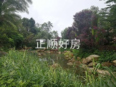 小区里面环境图.jpg