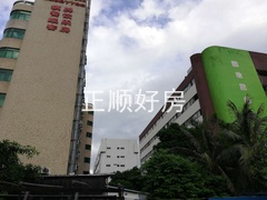 翠1.jpg