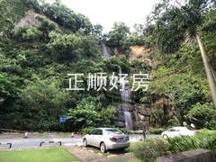 小区后山