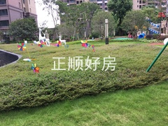 小区园林2.jpg