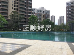 小区游泳池.jpg