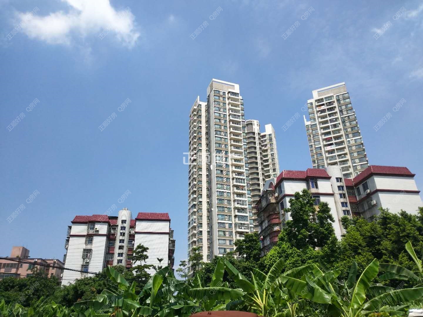 微信图片_20180905144134.jpg