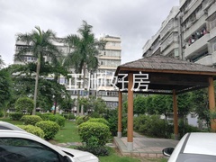 北辰4.jpg
