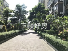 小区图.jpg