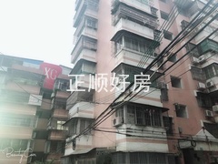 705125048377785915.jpg