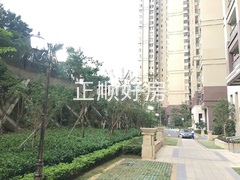 园林实景1.jpg