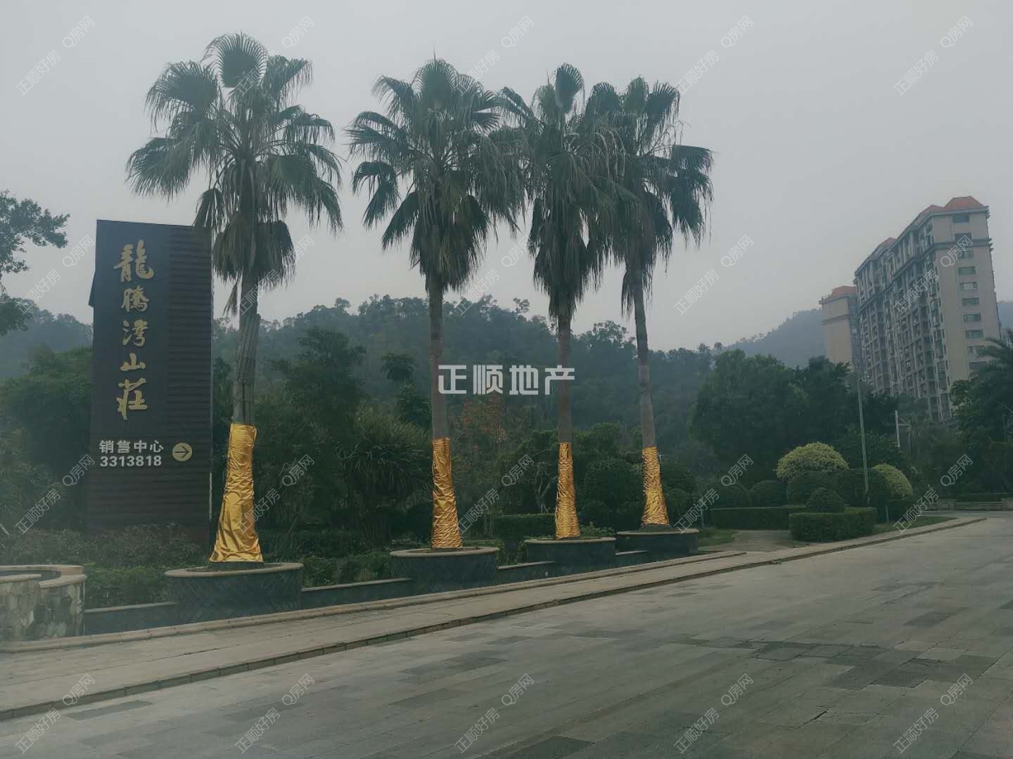 微信图片_201901111219531.jpg